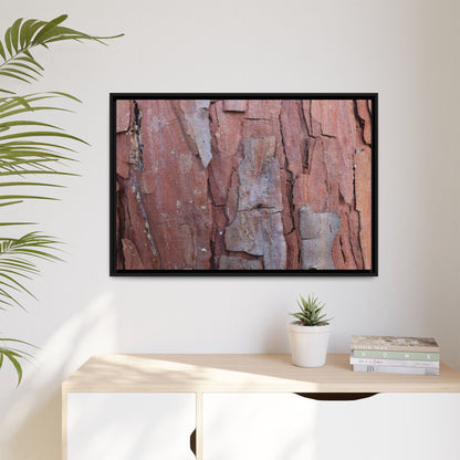 Peeling Bark - Unique Stretched Canvas Wall Art - Art By Earth
