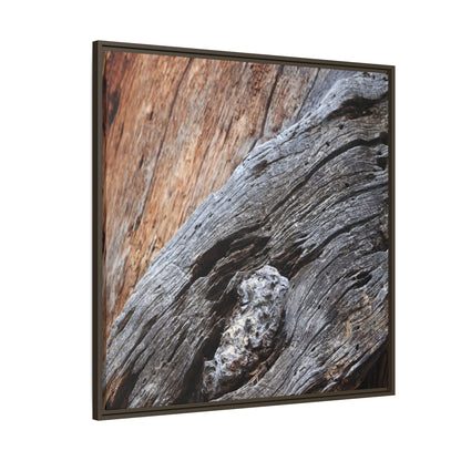 Time's Mark on Timber - Unique Stretched Canvas Wall Art - Art By Earth
