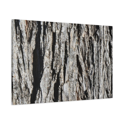 Bark Layers in Monochrome - Unique Frameless Canvas Wall Art - Art By Earth