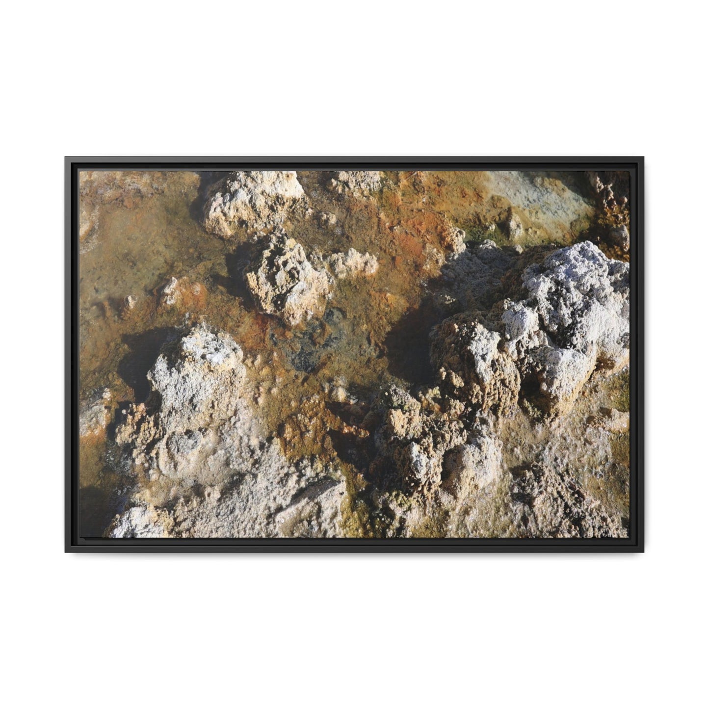 Textural Metamorphosis - Unique Stretched Canvas Wall Art