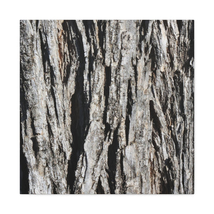 Bark Textures in Monochrome - Unique Frameless Canvas Wall Art - Art By Earth