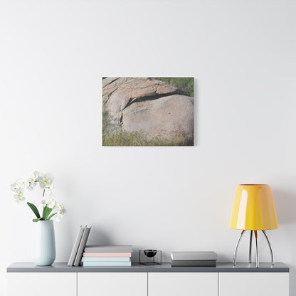Granite Boulder in Desert Scrub - Unique Frameless Canvas Wall Art - Art By Earth
