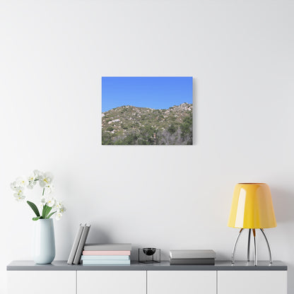 Rocky Hills with Desert Vegetation - Unique Frameless Canvas Wall Art
