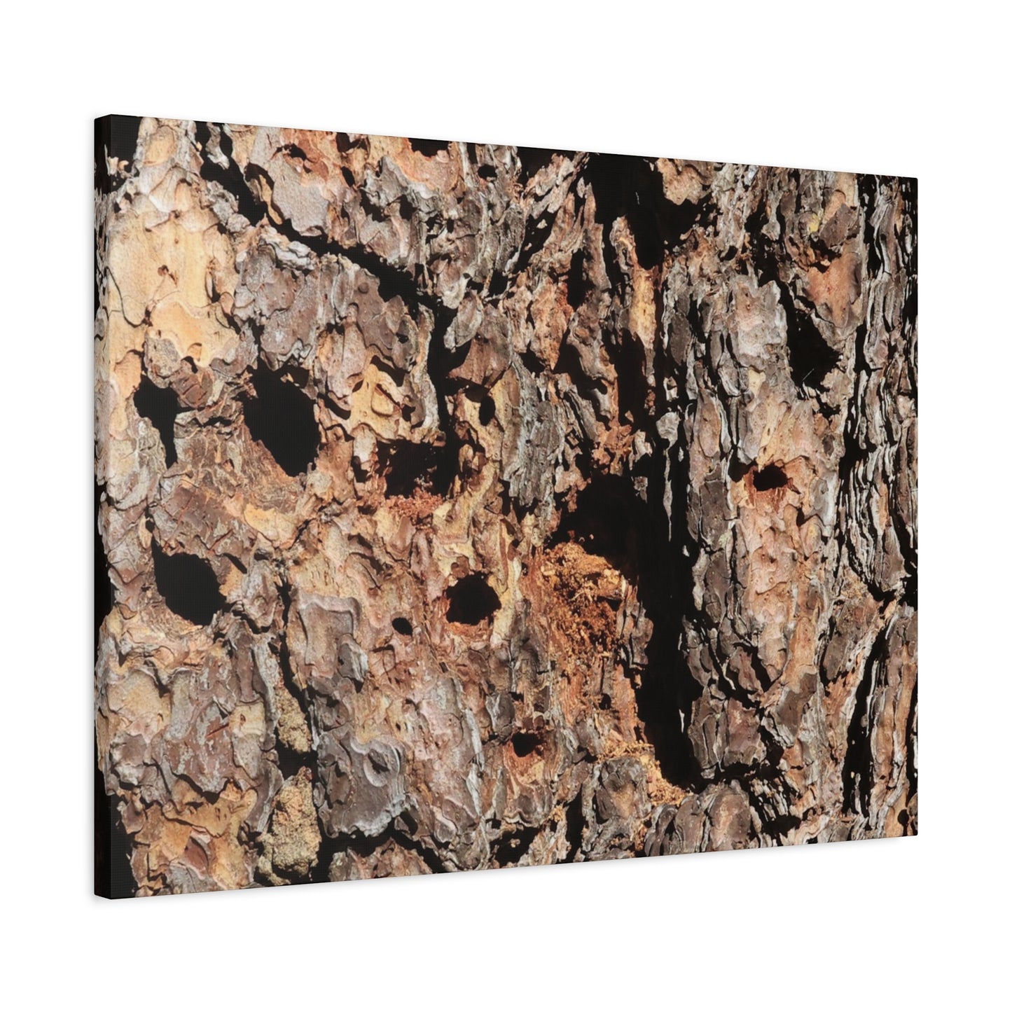 Tree Bark Mosaic - Unique Frameless Canvas Wall Art - Art By Earth