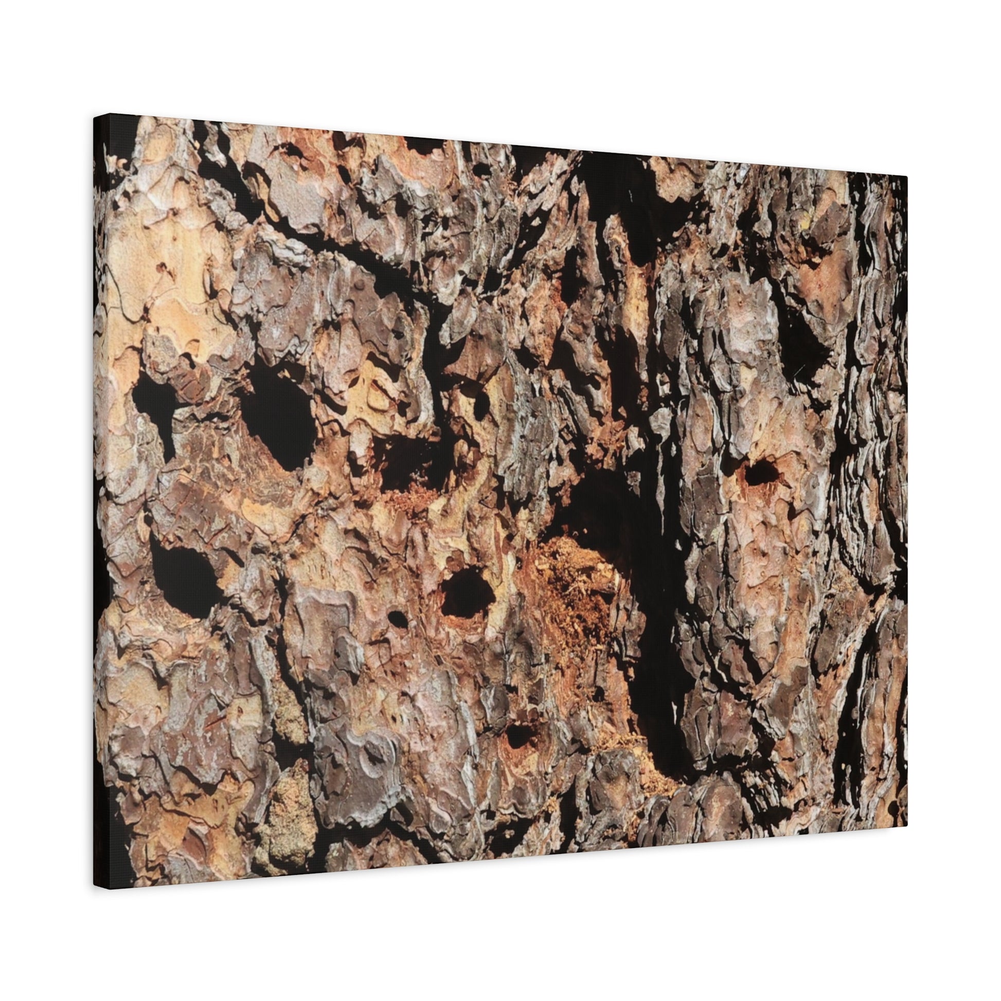 Tree Bark Mosaic - Unique Frameless Canvas Wall Art - Art By Earth