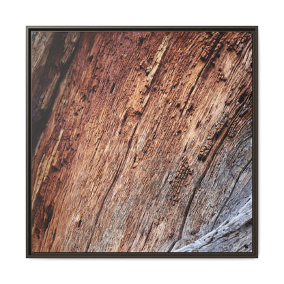 Time's Mark - Unique Stretched Canvas Wall Art - Art By Earth
