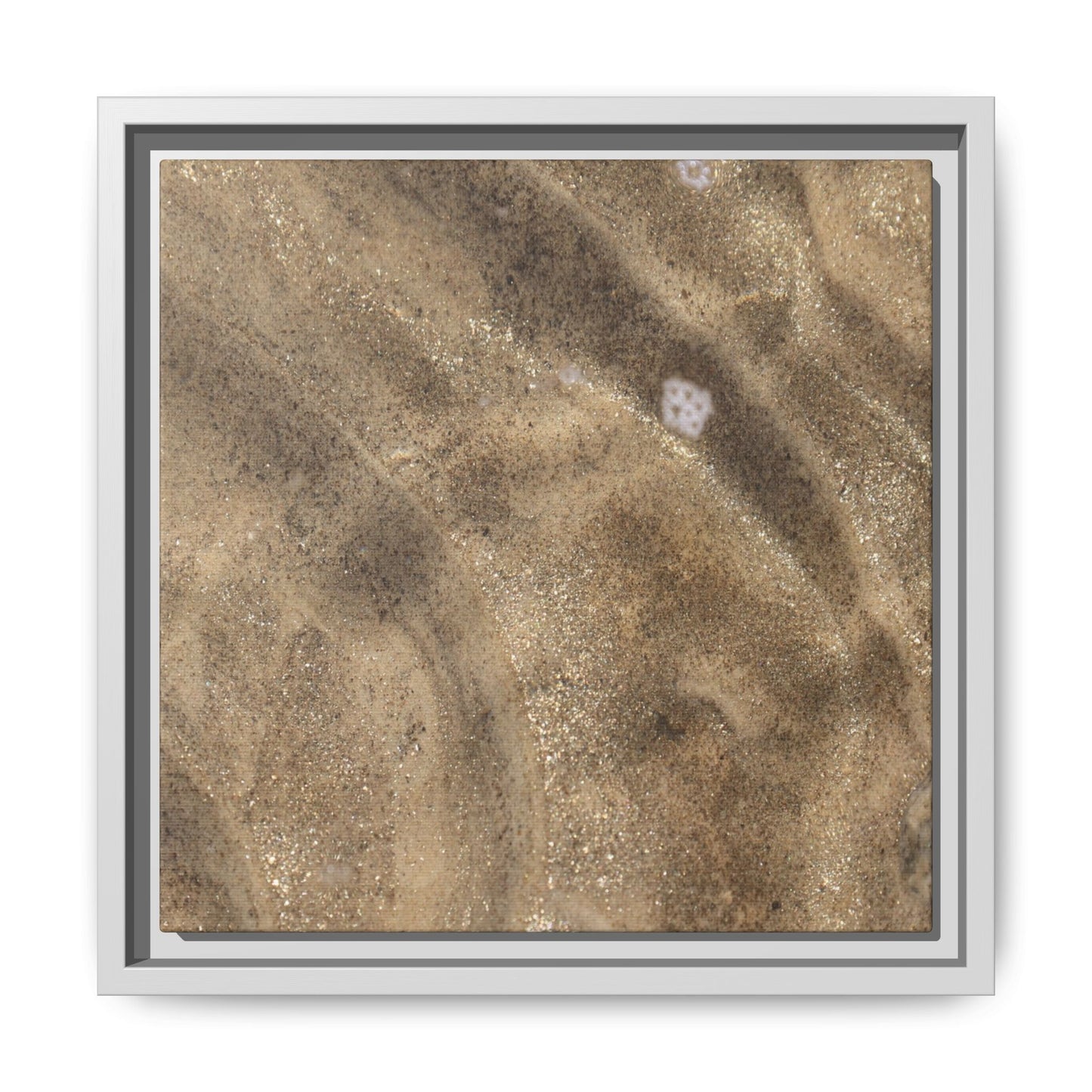Underwater Sand Exploration - Unique Stretched Canvas Wall Art - Art By Earth