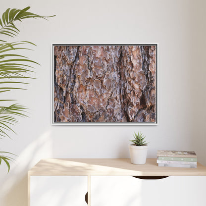 Woody Layers - Unique Stretched Canvas Wall Art - Art By Earth