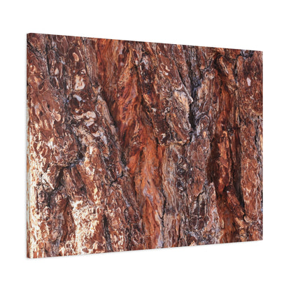Rust and Ridges - Unique Frameless Canvas Wall Art