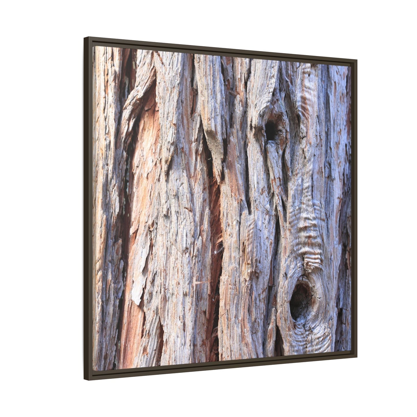 Nature's Grain - Unique Stretched Canvas Wall Art - Art By Earth