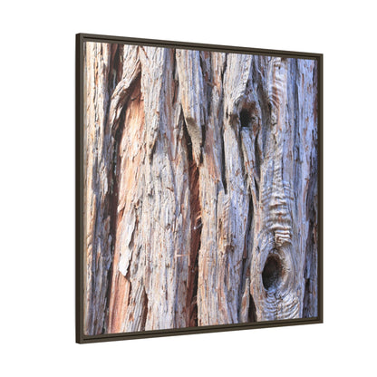 Nature's Grain - Unique Stretched Canvas Wall Art - Art By Earth