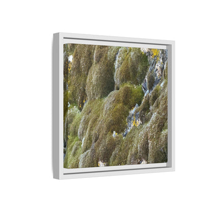 Moss Symphony - Unique Stretched Canvas Wall Art