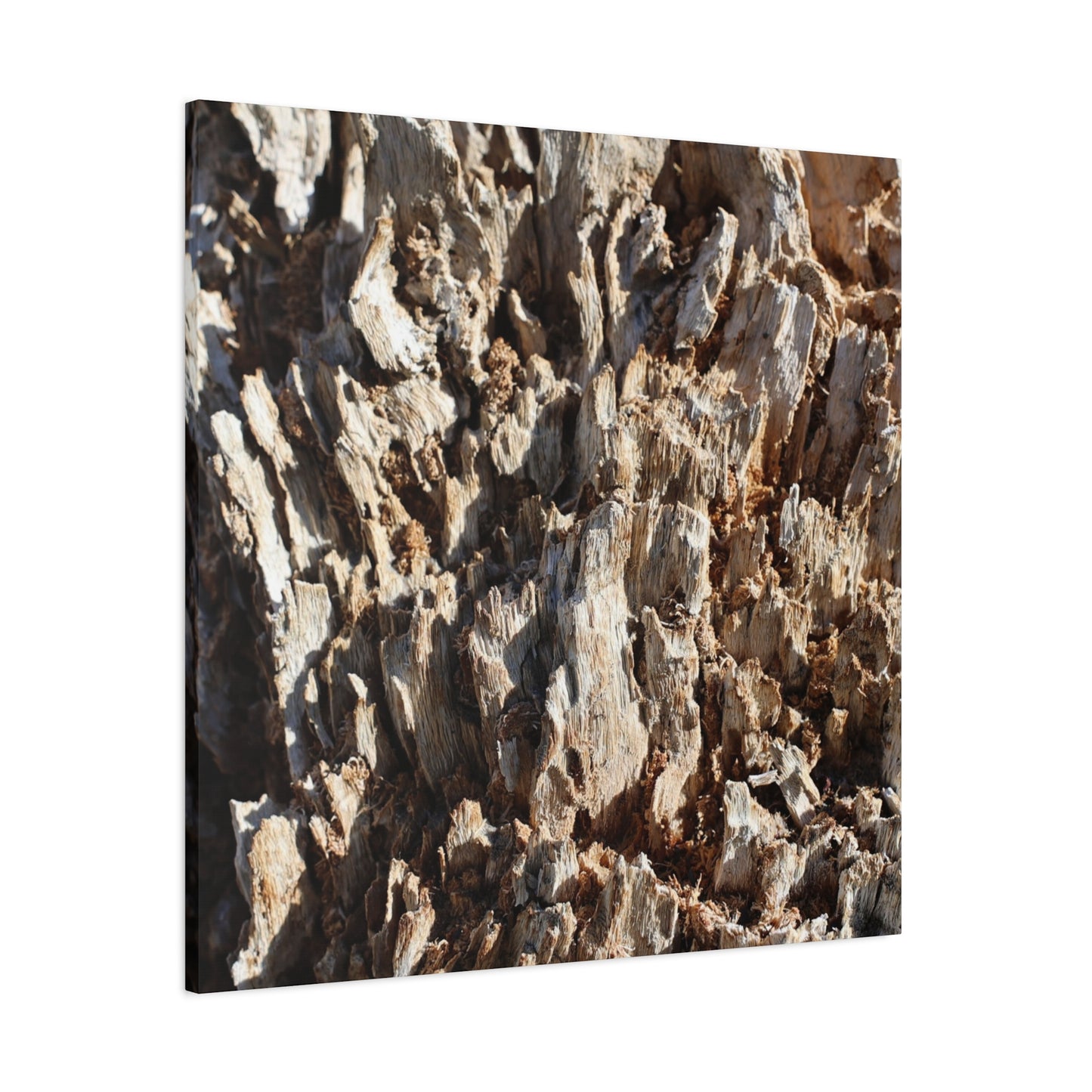 Decaying Bark Symphony - Unique Frameless Canvas Wall Art