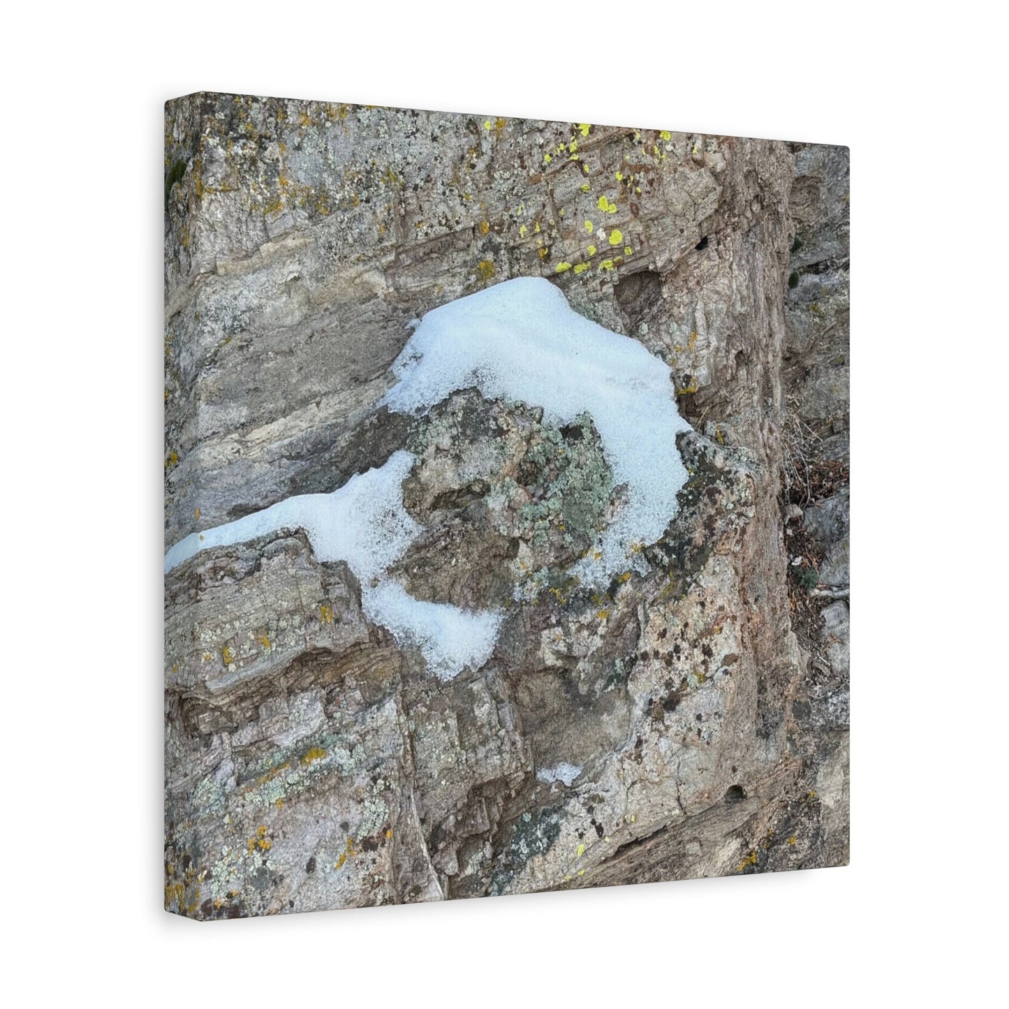 Snow on Stone - Unique Frameless Canvas Wall Art