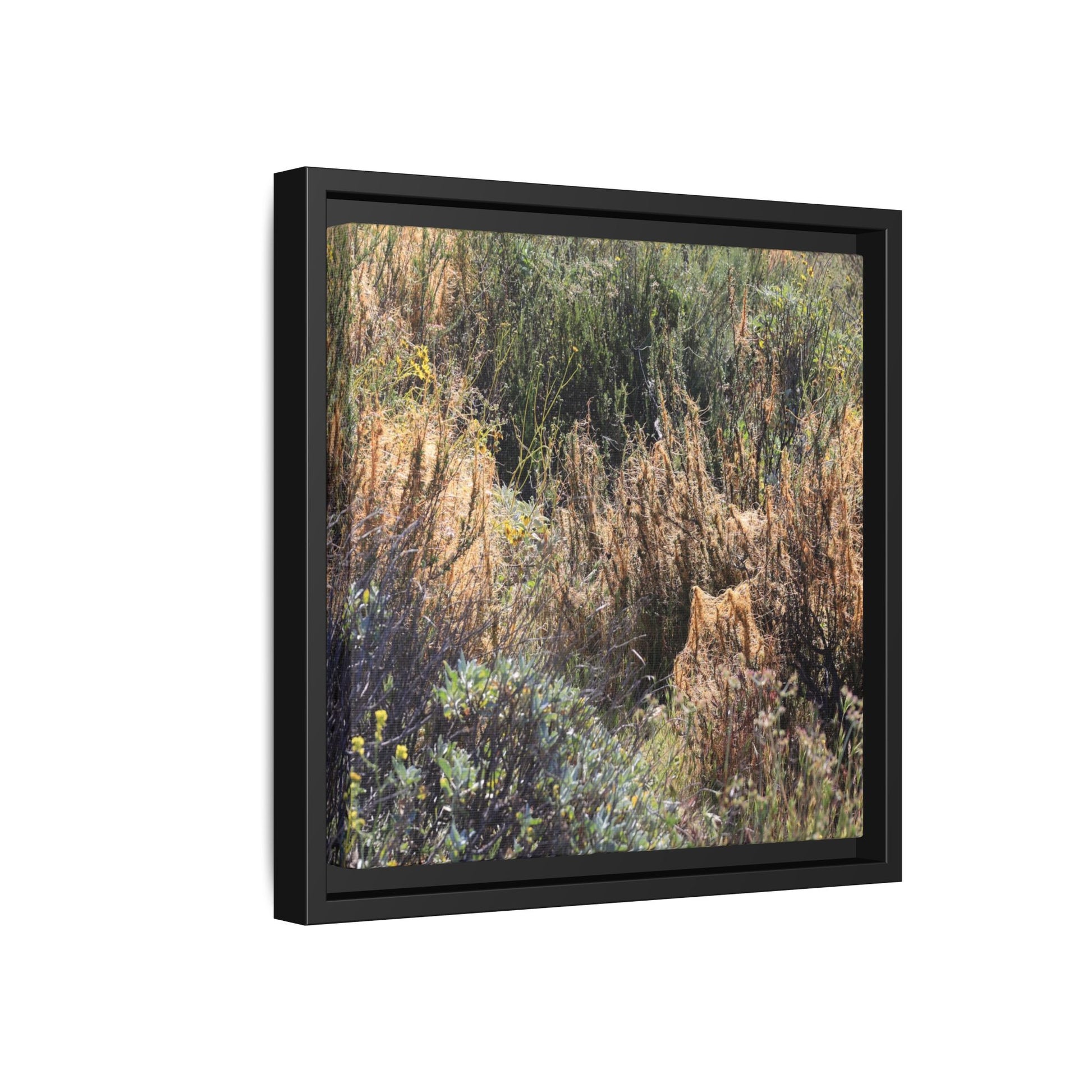 Drought-Stricken Landscape - Unique Stretched Canvas Wall Art - Art By Earth