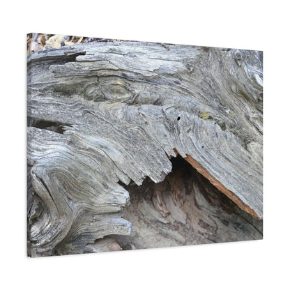 Whispers of Ancient Wood - Unique Frameless Canvas Wall Art - Art By Earth
