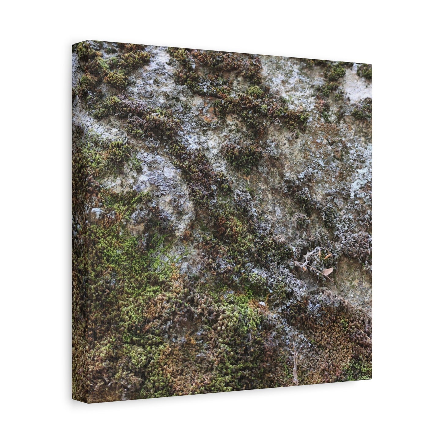 Moss Tapestry - Unique Frameless Canvas Wall Art - Art By Earth