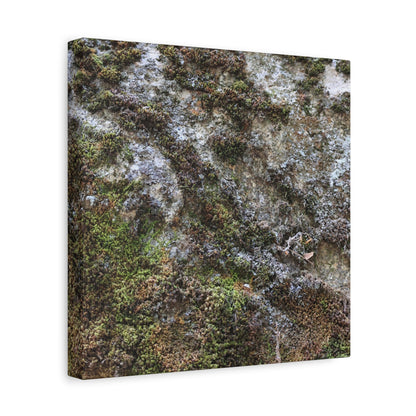 Moss Tapestry - Unique Frameless Canvas Wall Art - Art By Earth