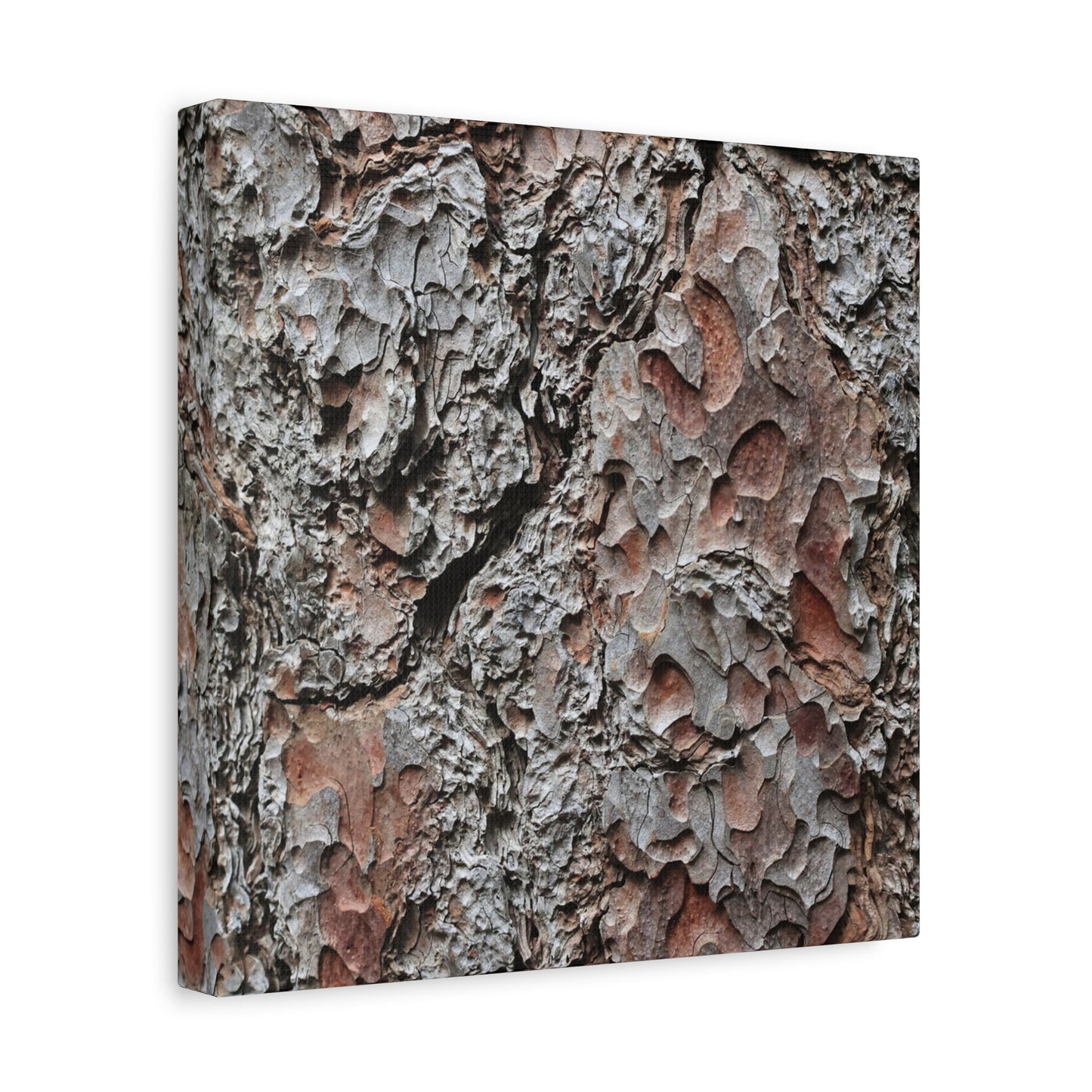 Textured Whispers of Bark - Unique Frameless Canvas Wall Art - Art By Earth