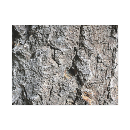 Elemental Canvas - Unique Frameless Canvas Wall Art - Art By Earth