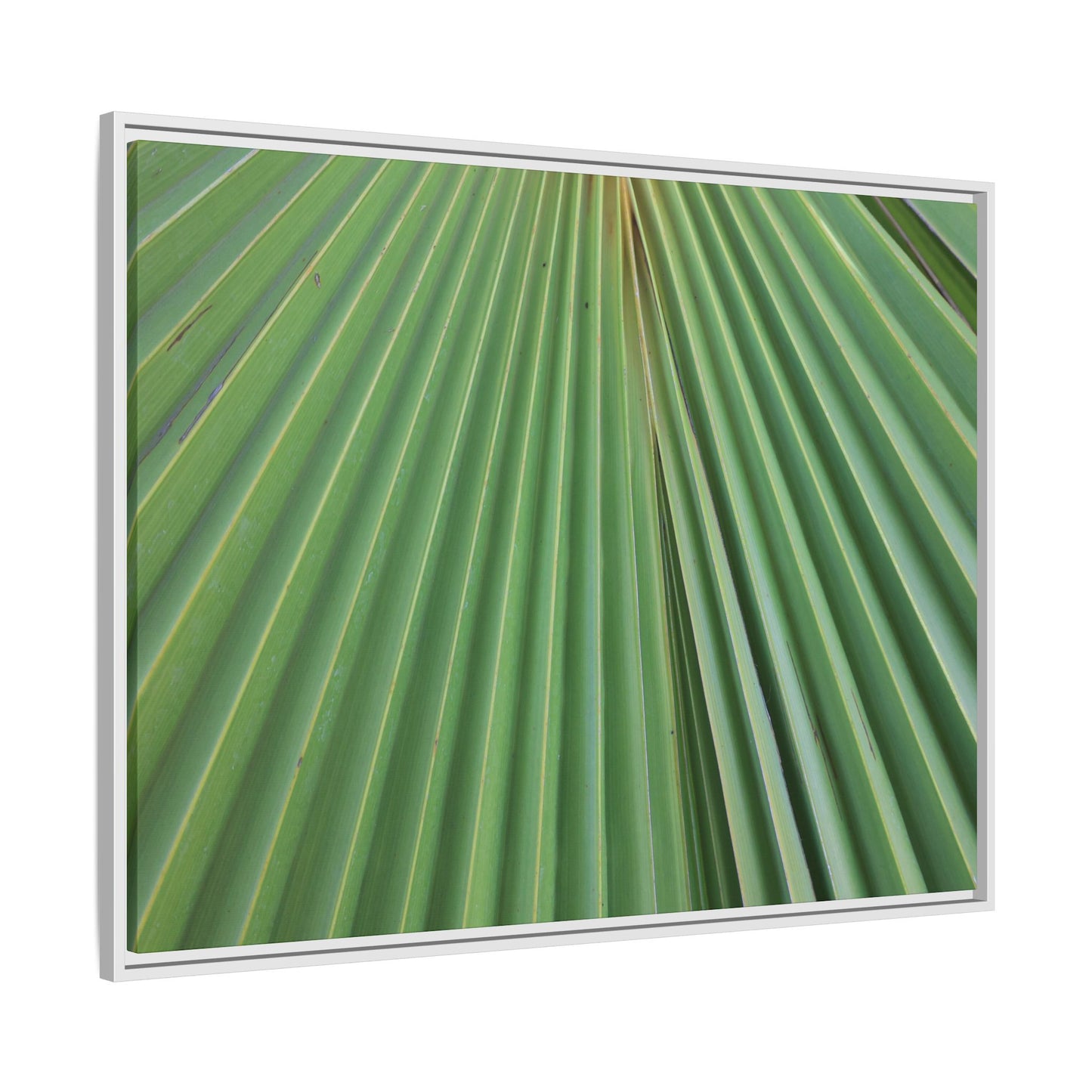 Verdant Veins - Unique Stretched Canvas Wall Art - Art By Earth