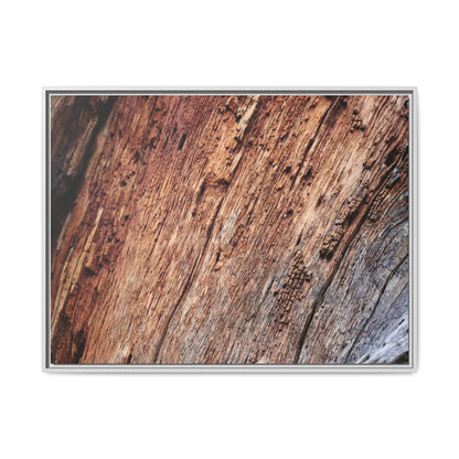 Time's Mark - Unique Stretched Canvas Wall Art - Art By Earth
