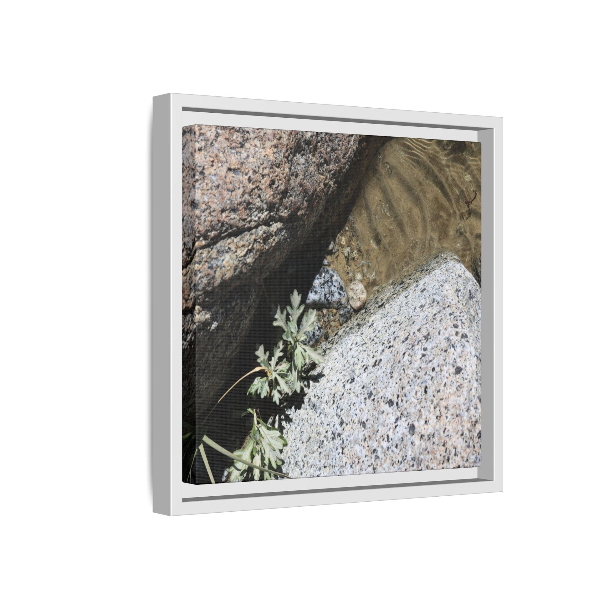 Resilience in Stone - Unique Stretched Canvas Wall Art - Art By Earth