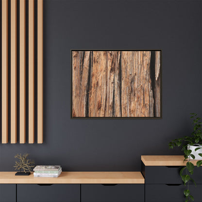 Timber Echoes - Unique Stretched Canvas Wall Art - Art By Earth
