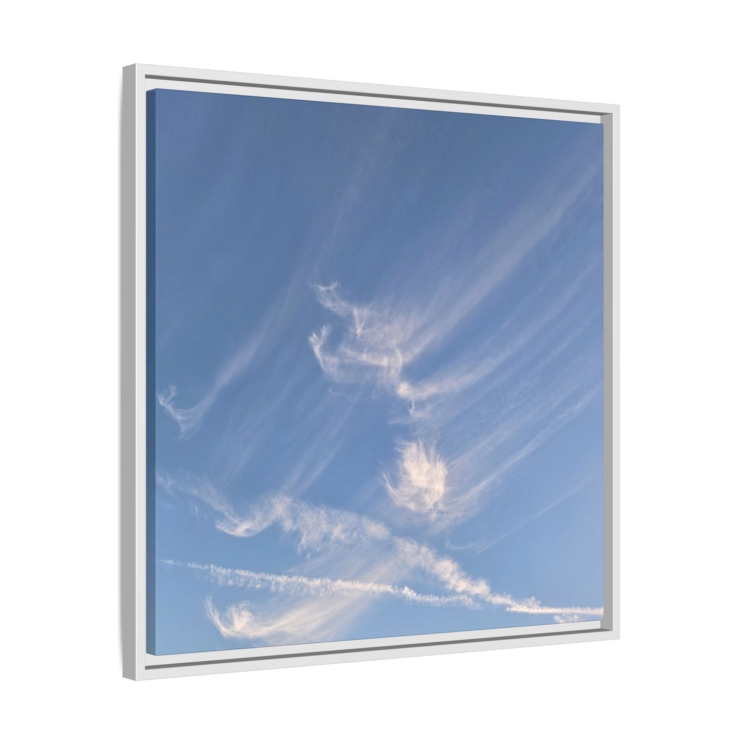 Wispy Dreams - Unique Stretched Canvas Wall Art - Art By Earth