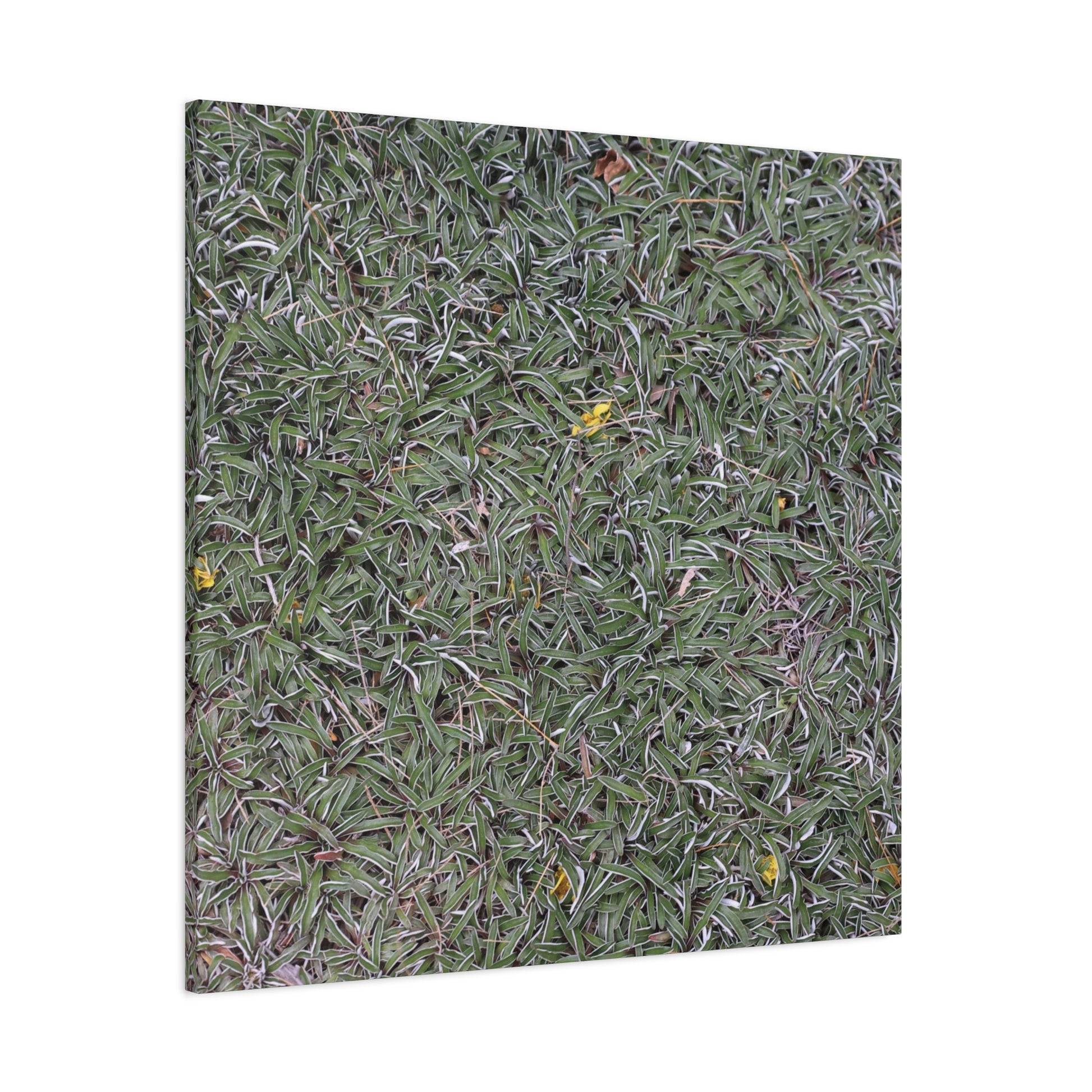 Tangled Memories - Unique Frameless Canvas Wall Art - Art By Earth