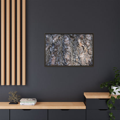 Weathered Patterns - Unique Stretched Canvas Wall Art - Art By Earth