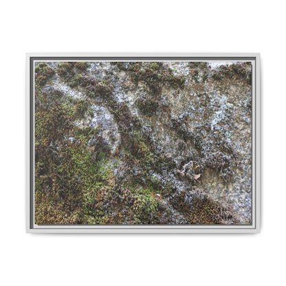 Mossy Whispers - Unique Stretched Canvas Wall Art - Art By Earth