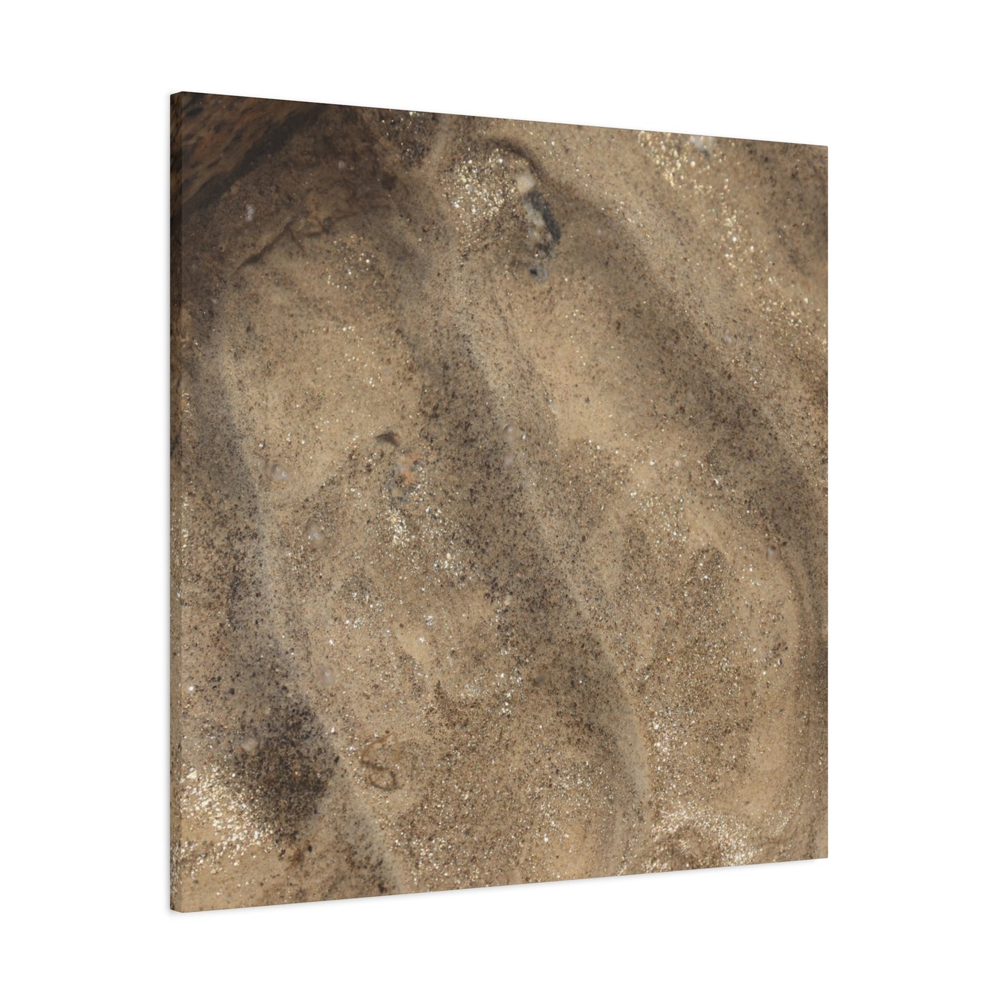 Shallow Waters - Unique Frameless Canvas Wall Art - Art By Earth