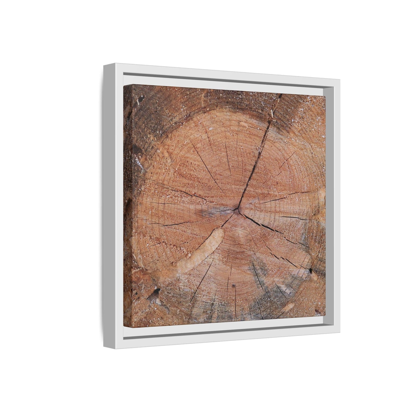 Concentric Memories - Unique Stretched Canvas Wall Art - Art By Earth