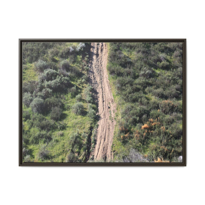 Desert Path Through Sage - Unique Stretched Canvas Wall Art - Art By Earth