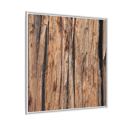 Timber Echoes - Unique Stretched Canvas Wall Art - Art By Earth