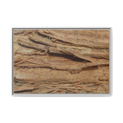 Splintered Bark - Unique Stretched Canvas Wall Art - Art By Earth