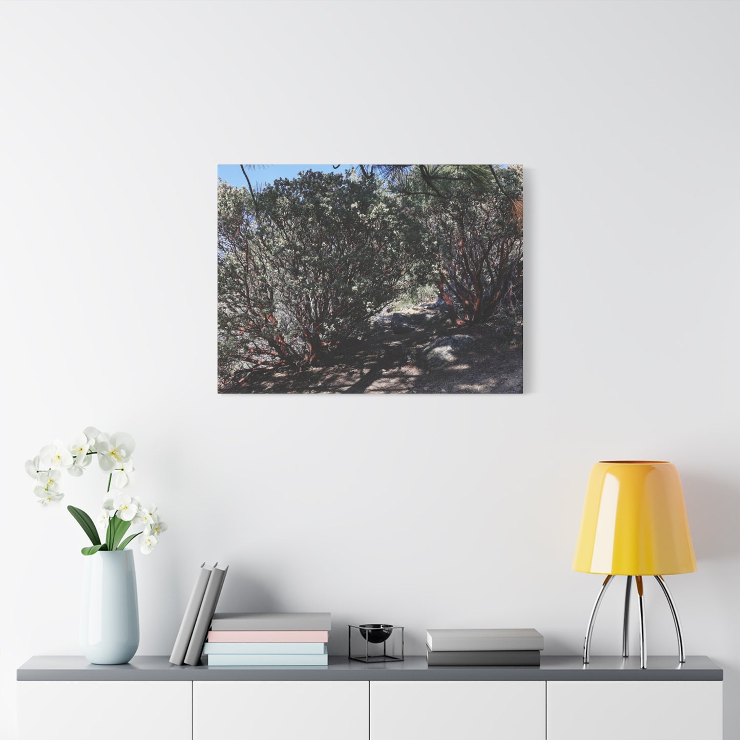 Desert Blooms - Unique Frameless Canvas Wall Art