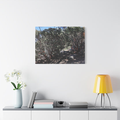 Desert Blooms - Unique Frameless Canvas Wall Art