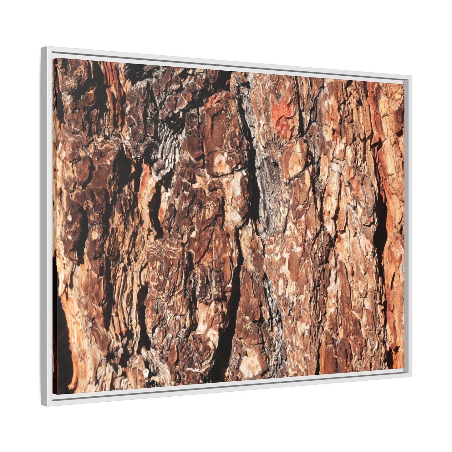 Nature's Rugged Canvas - Unique Stretched Canvas Wall Art