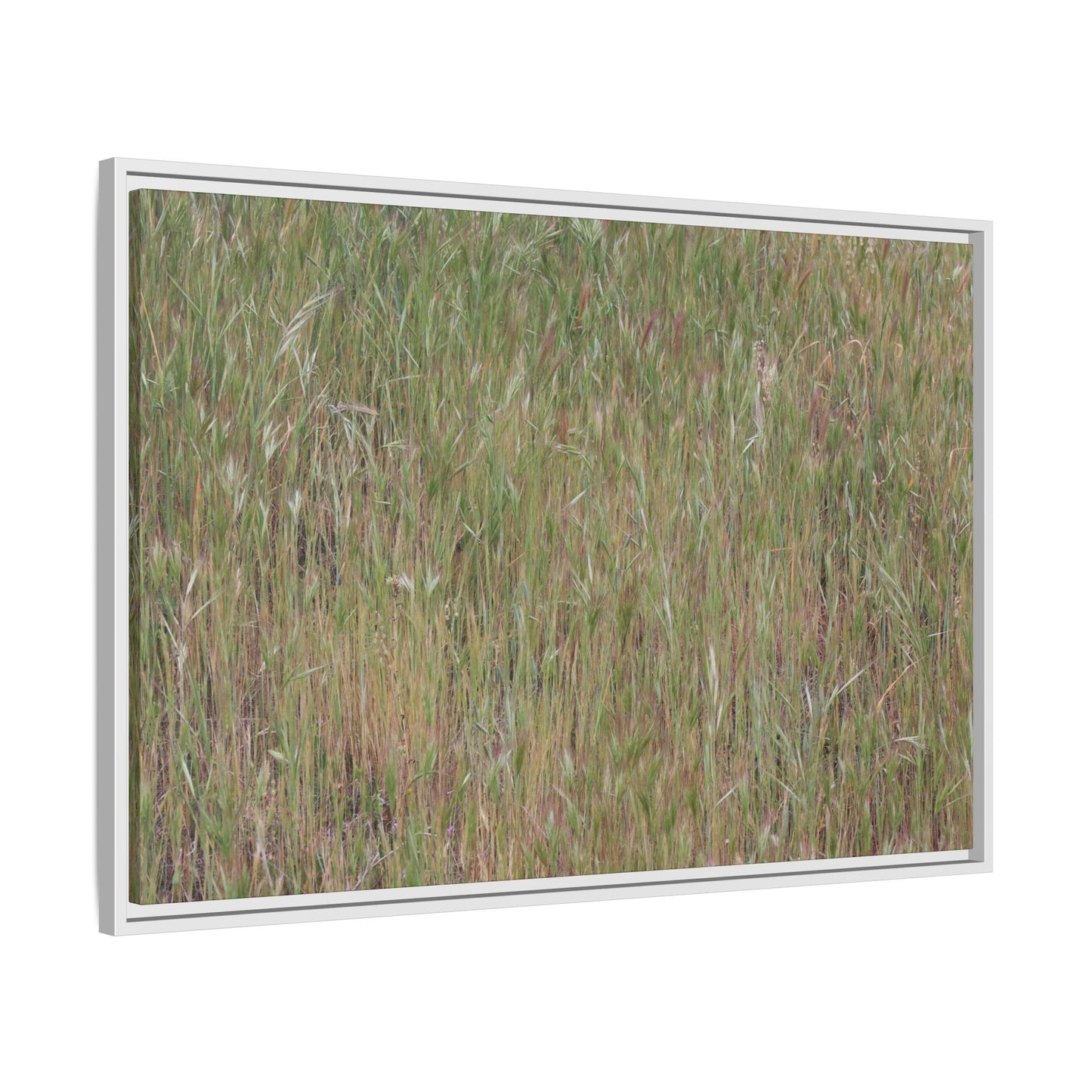 Field of Dreams - Unique Stretched Canvas Wall Art - Art By Earth