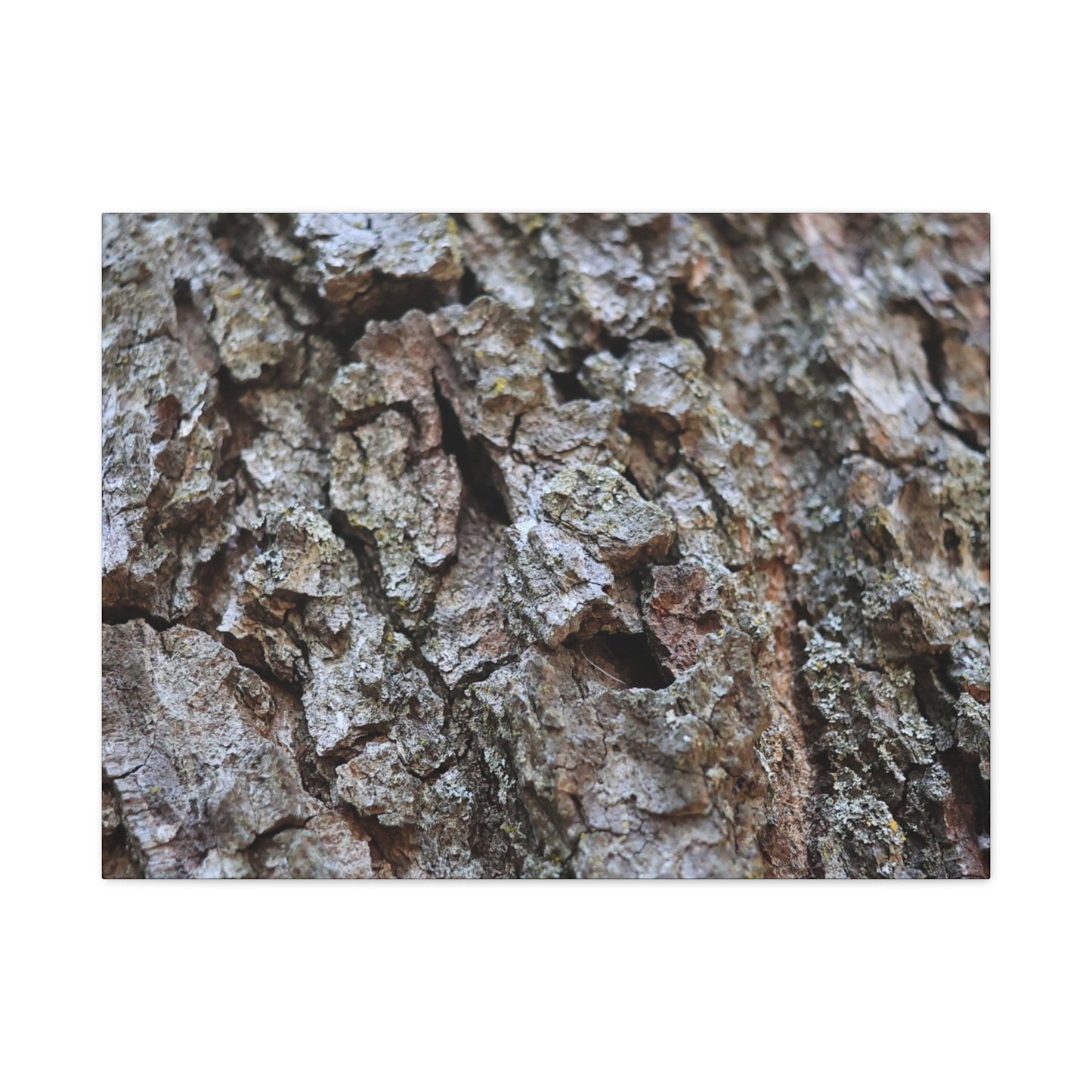 Cracked Echoes - Unique Frameless Canvas Wall Art - Art By Earth