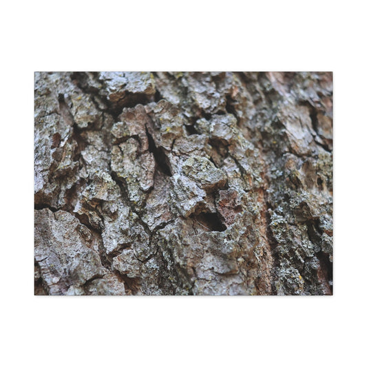 Cracked Echoes - Unique Frameless Canvas Wall Art - Art By Earth