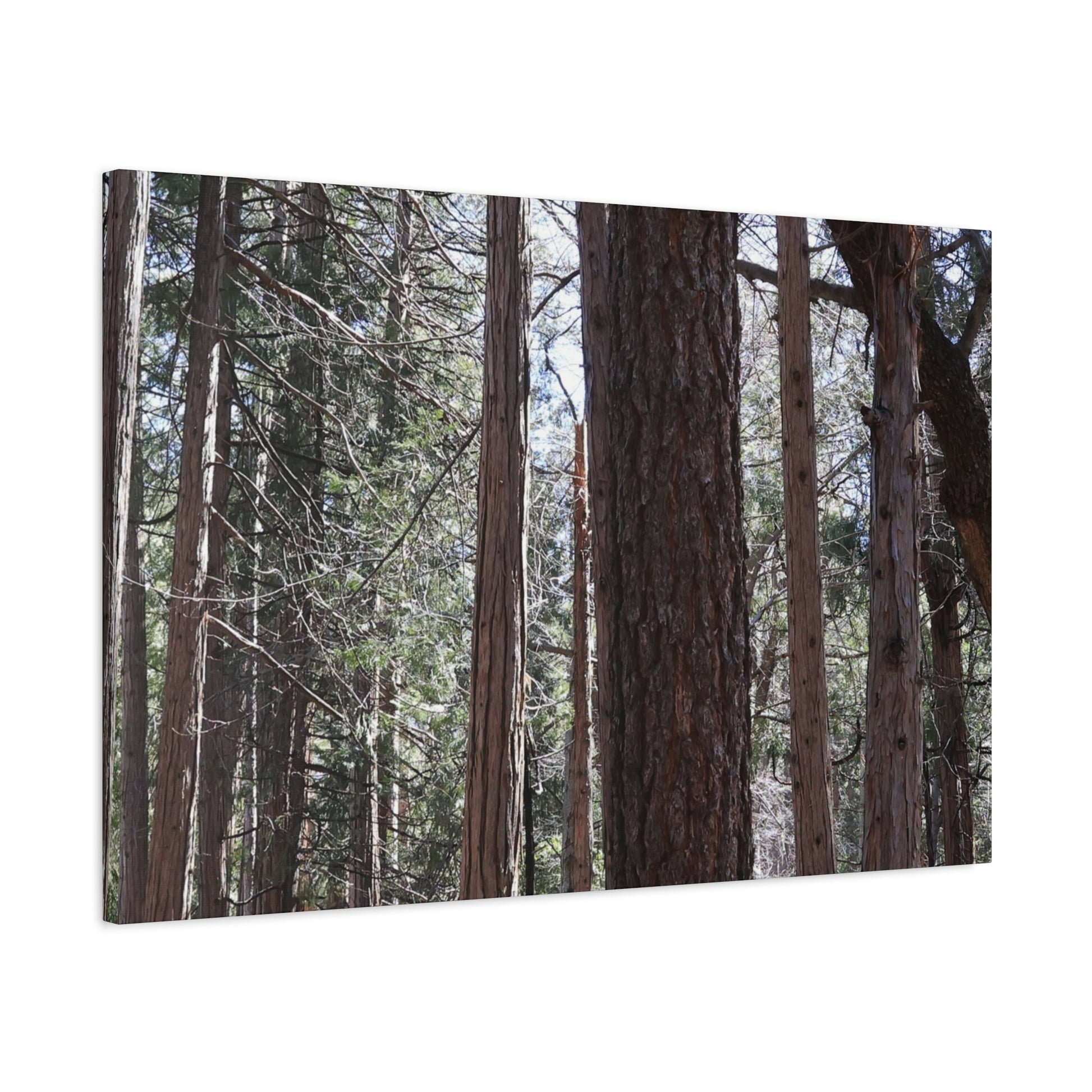 Vertical Sentinels - Unique Frameless Canvas Wall Art - Art By Earth