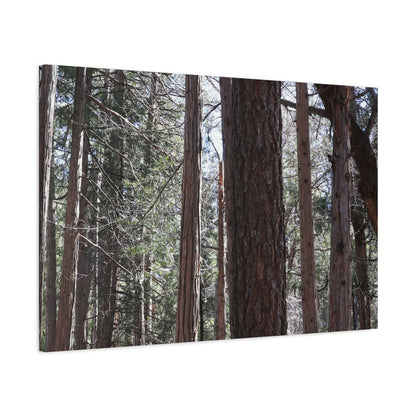 Vertical Sentinels - Unique Frameless Canvas Wall Art - Art By Earth