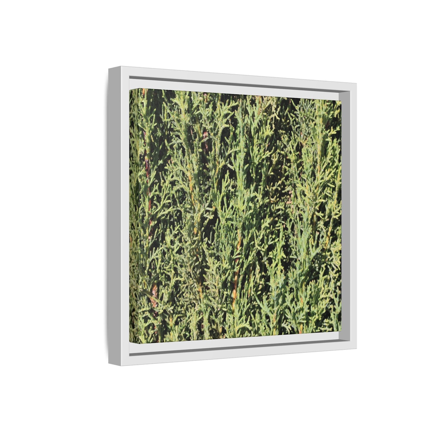 Emerald Labyrinth - Unique Stretched Canvas Wall Art - Art By Earth