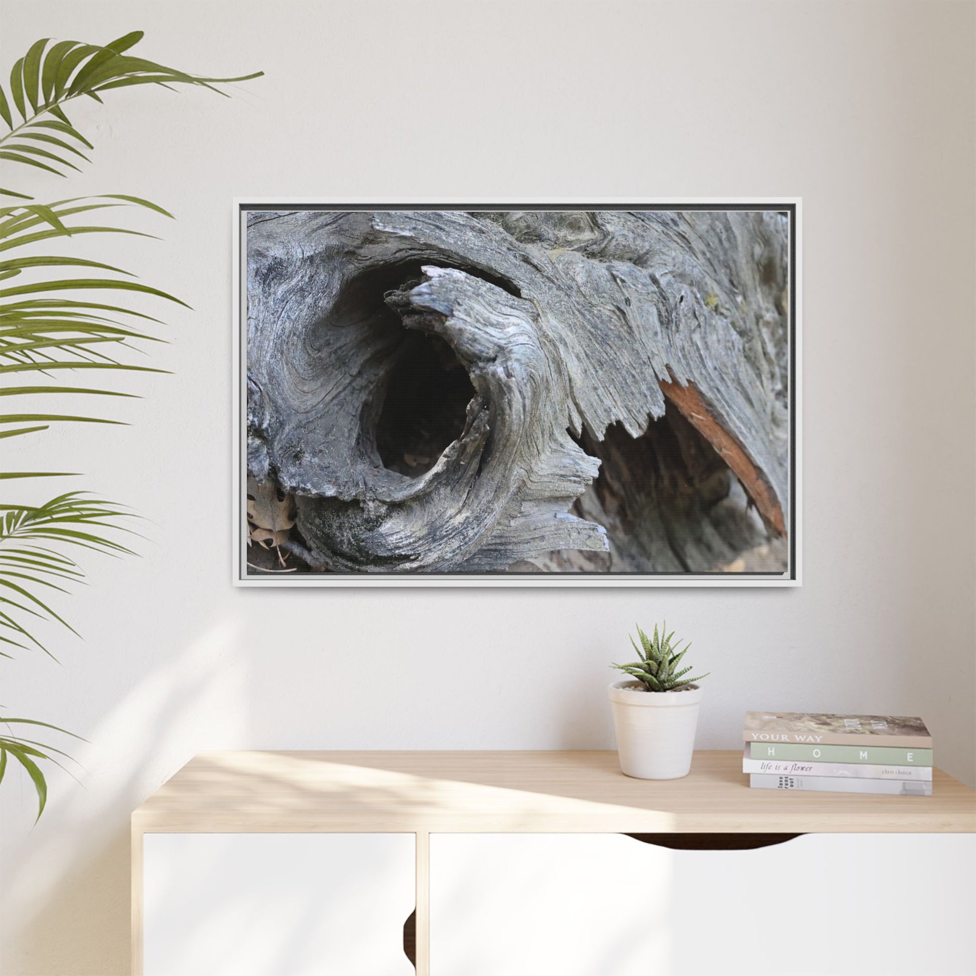 Bark's Labyrinth - Unique Stretched Canvas Wall Art - Art By Earth