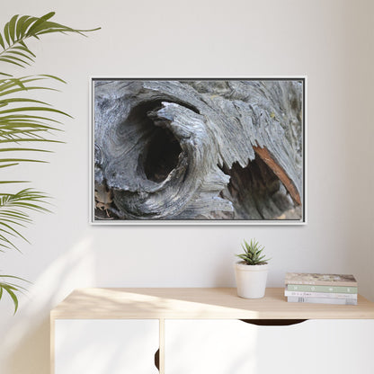 Bark's Labyrinth - Unique Stretched Canvas Wall Art - Art By Earth