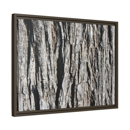 Bark Lines - Unique Stretched Canvas Wall Art - Art By Earth