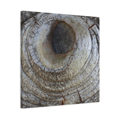 Bark's Eye - Unique Frameless Canvas Wall Art - Art By Earth